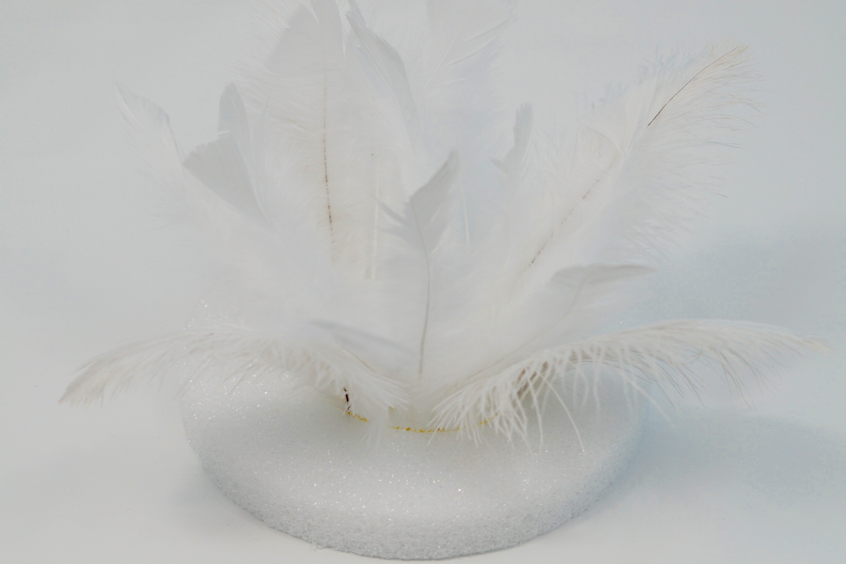 White Feathers – Imogen Works