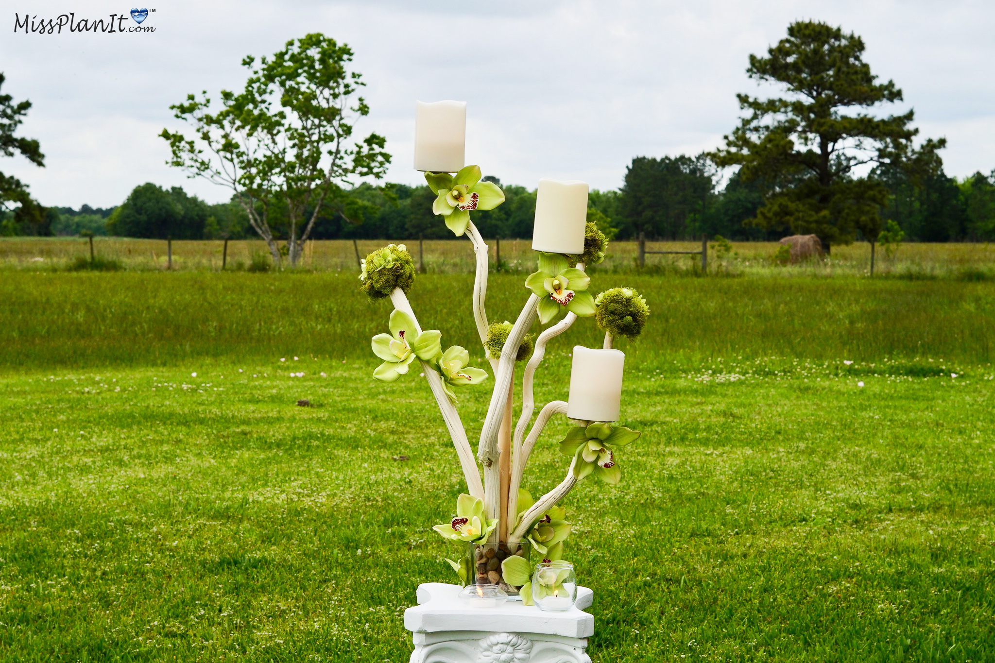 Tall Driftwood Rustic Wedding Centerpiece