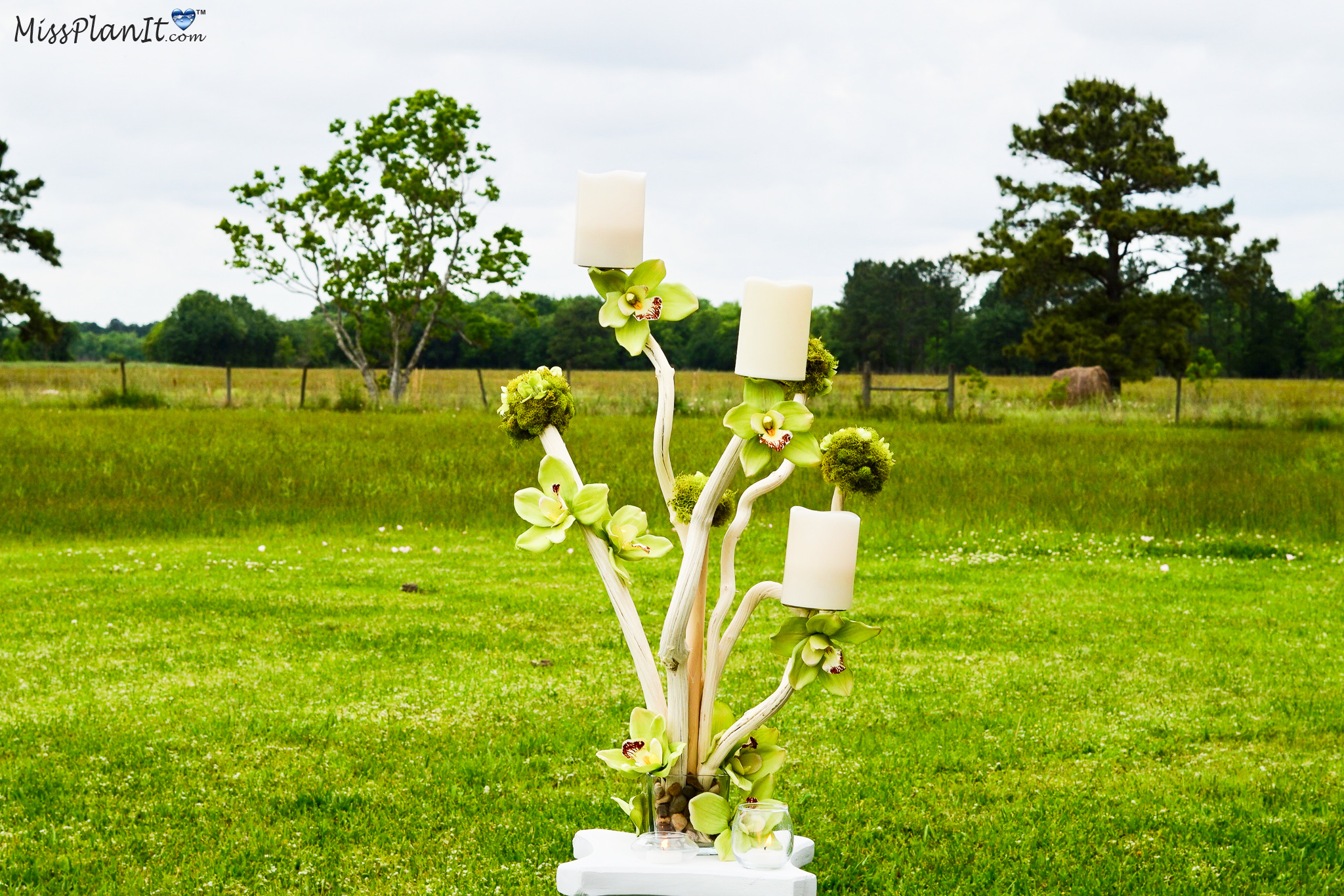 Tall Driftwood Rustic Wedding Centerpiece