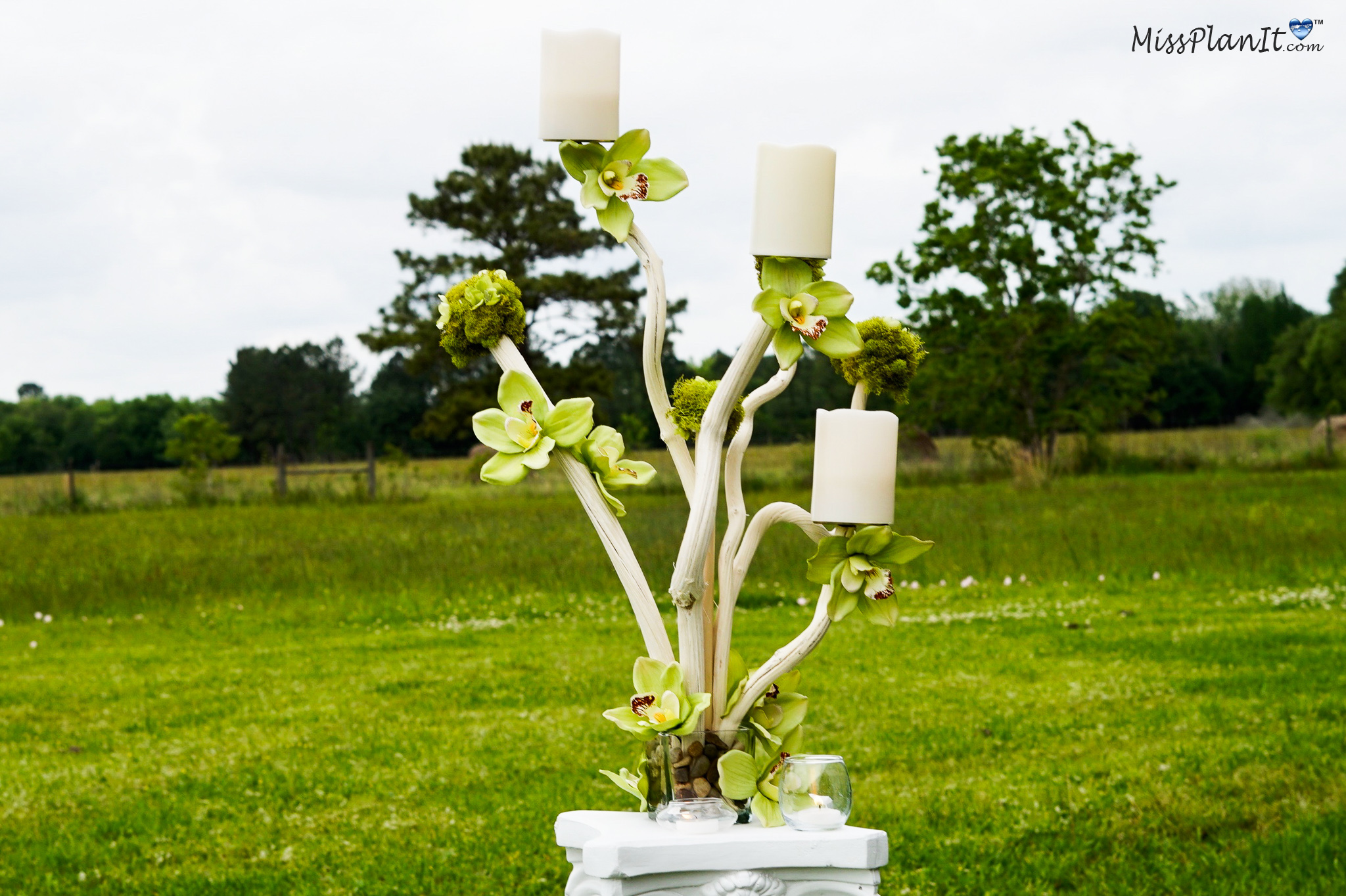 Tall Driftwood Rustic Wedding Centerpiece