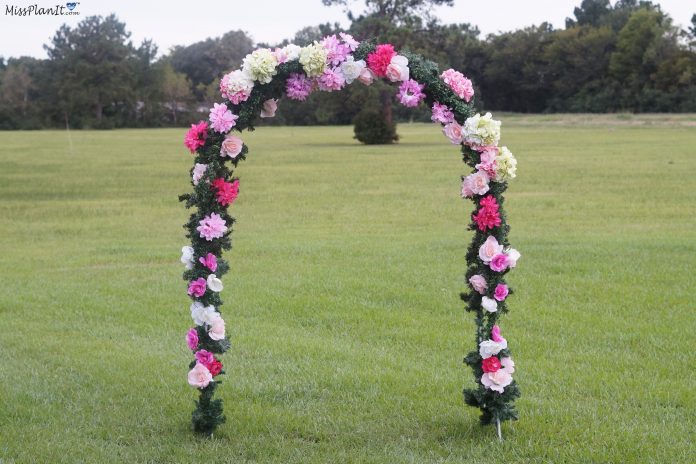 Wedding Arch